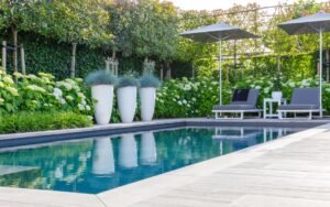 piscine moderne dans jardin verdoyant et spacieux
