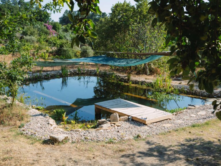 Où Vider Sa Piscine Sans Abîmer L’Environnement